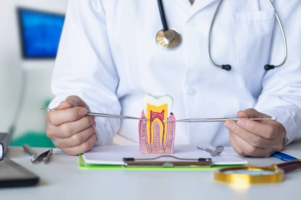Best Emergency Treatment for Toothache in Brodhead, KY